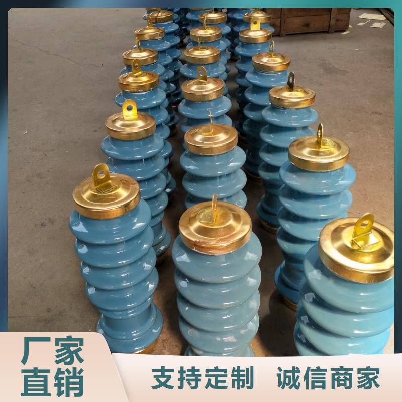 临安|西湖|温州|嘉兴|衢州|台州|丽水|绍兴过电压保护器绝缘子价格实惠-樊高