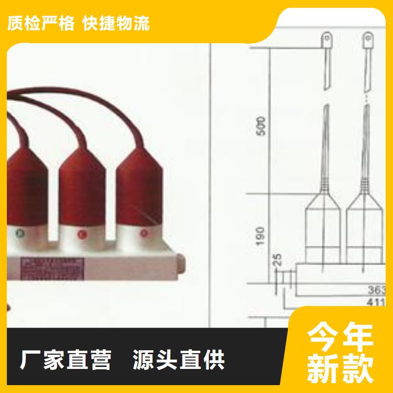 樊高【 过电压保护器-高低压电器订制批发】-业务覆盖区域|德惠|南关|辽源|吉林|四平|延边-阿奇乐乐