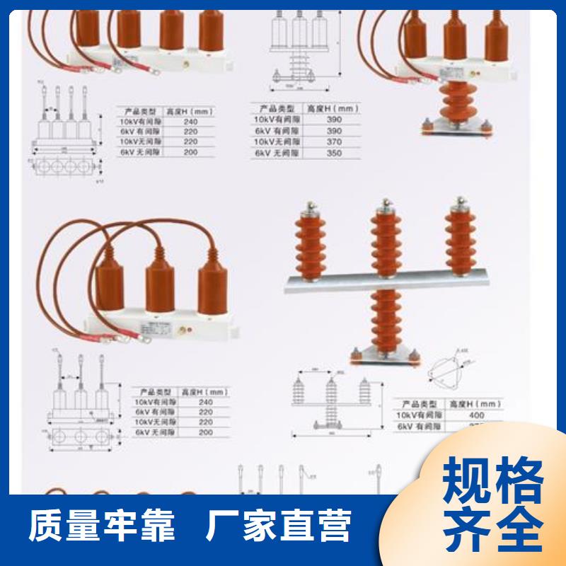 过电压保护器氧化锌避雷器品质服务-樊高电气销售部(自贡市分公司)