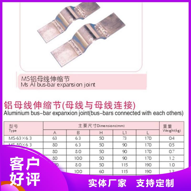 母线金具穿墙套管自营品质有保障 樊高电气销售部(天津市分公司)