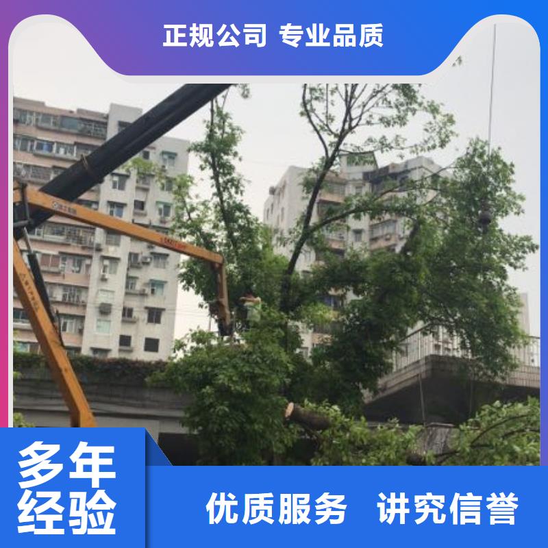 吊车出租-视频-商丘市吊车出租|夏邑|宁陵|洛阳|鹤壁|驻马店|焦作|新乡|平顶山|安阳
