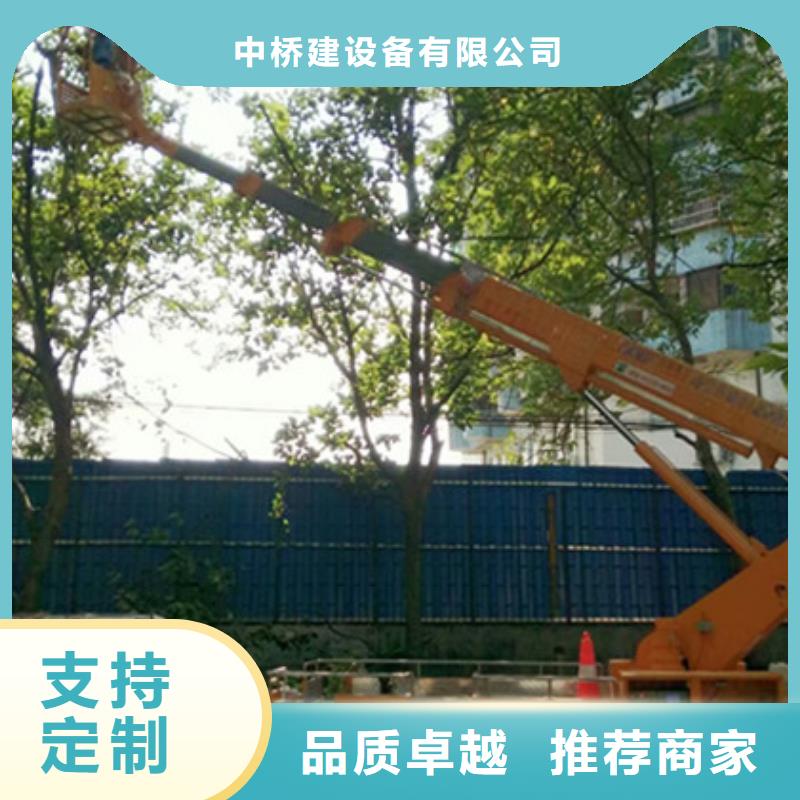 中桥建高空吊篮车租赁专业生产N年-阿奇乐乐
