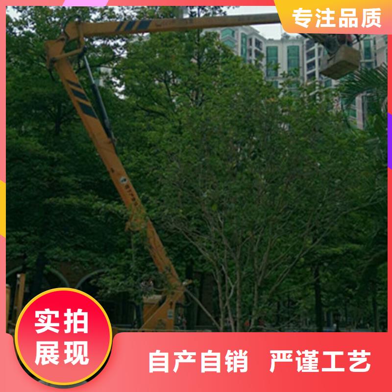 中桥建高空吊篮车租赁专业生产N年-阿奇乐乐