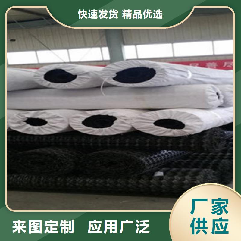 路德【 双向塑料格栅 塑料土工格栅优良材质】