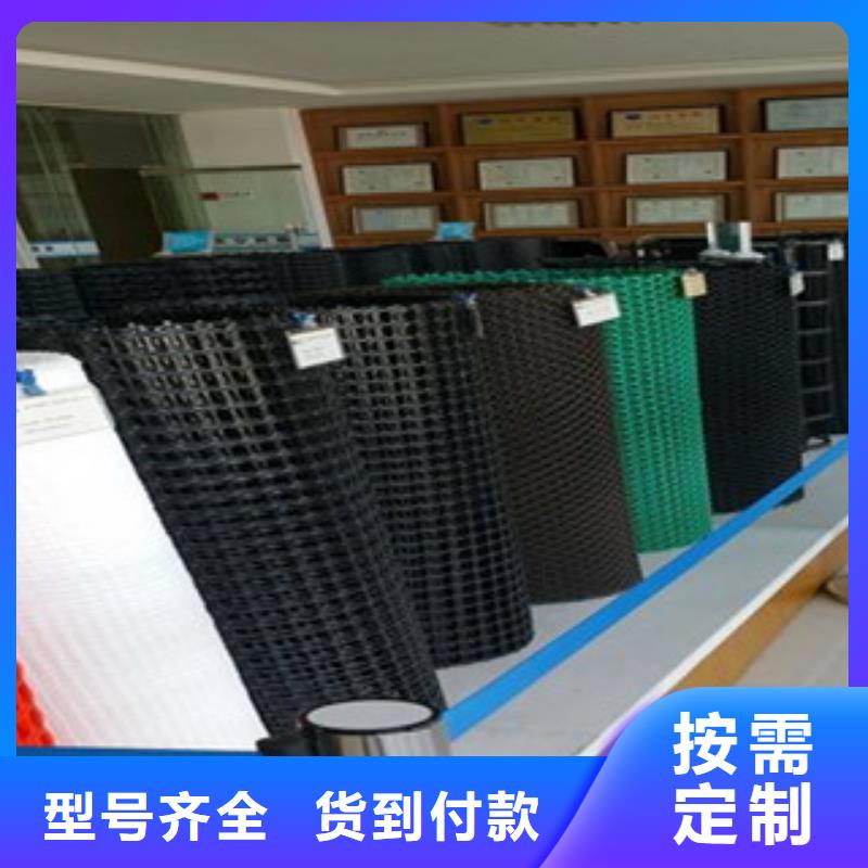 钢塑土工格栅高强度土工网精心打造