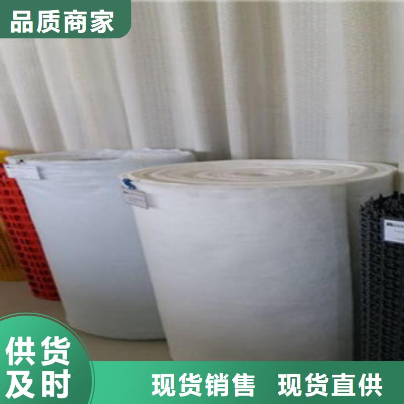 钢塑土工格栅玻纤土工格栅质量检测