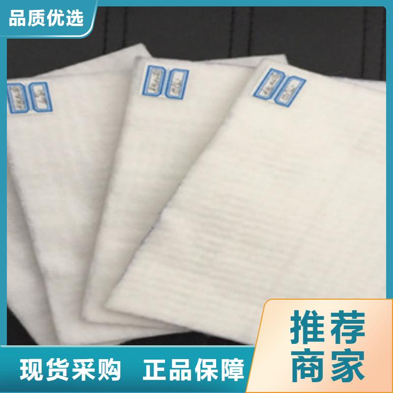 土工布,塑料土工格栅厂家实力大
