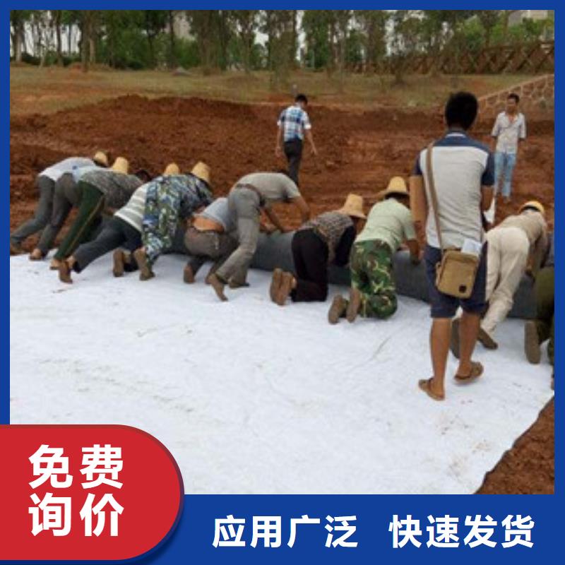 【膨润土防水毯】高强度土工网品质保证