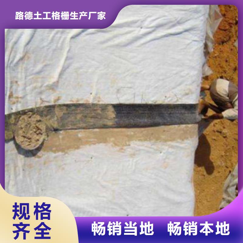 【膨润土防水毯】高强度土工网品质保证