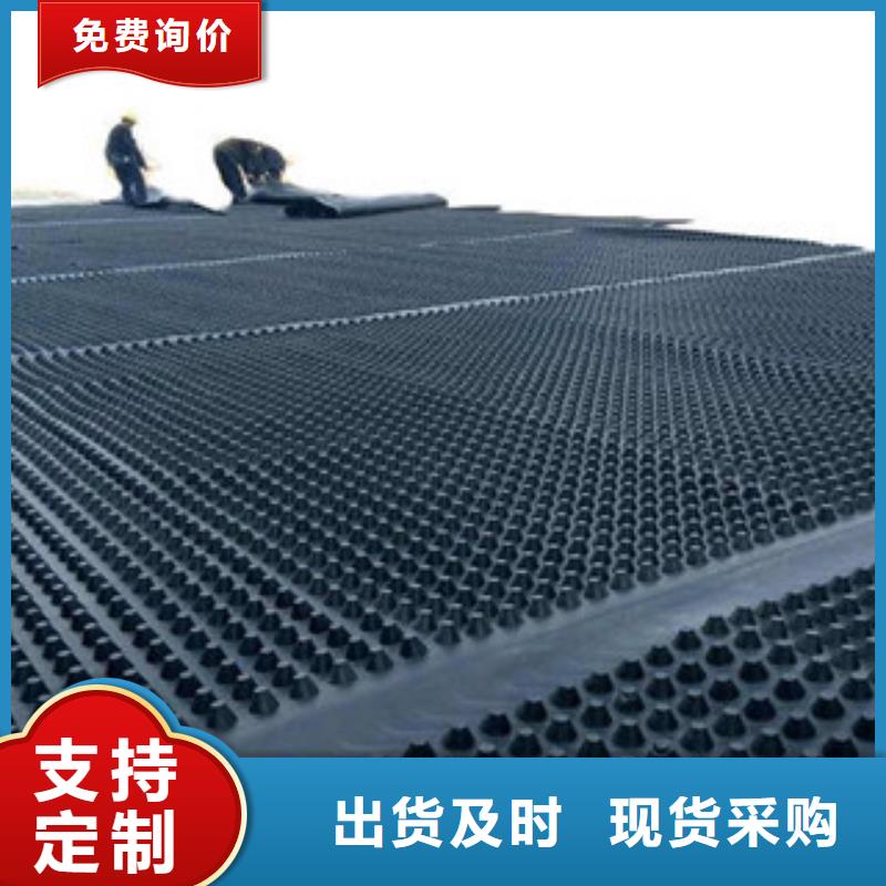 塑料排水板-塑料土工格栅随到随提