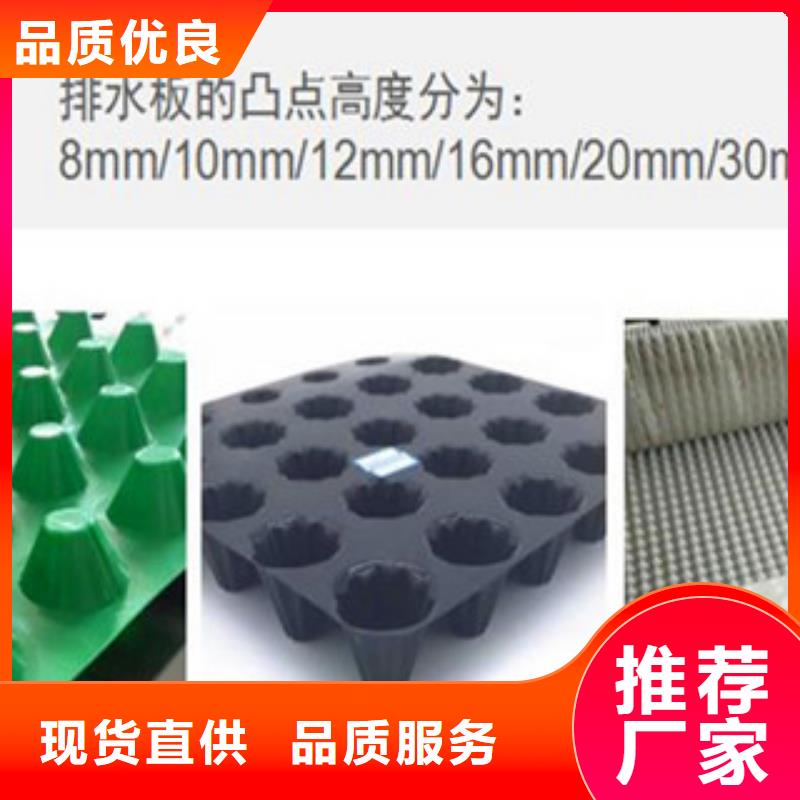 塑料排水板钢塑土工格栅出货及时
