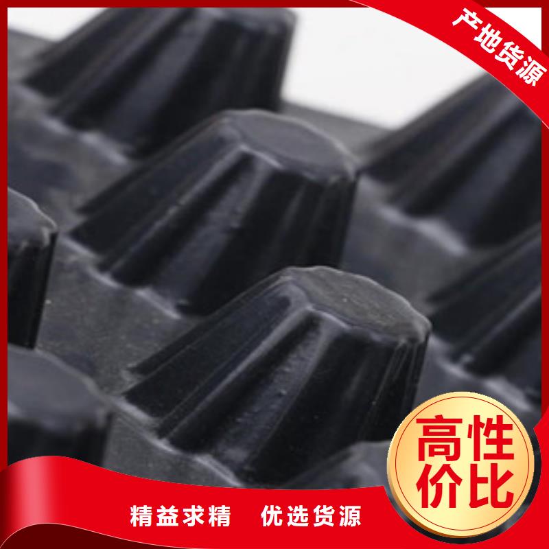 塑料排水板高强度土工网性能稳定