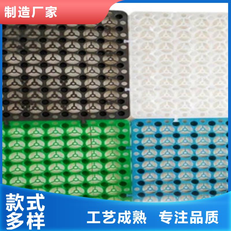 塑料排水板防裂贴抗裂贴经验丰富质量放心