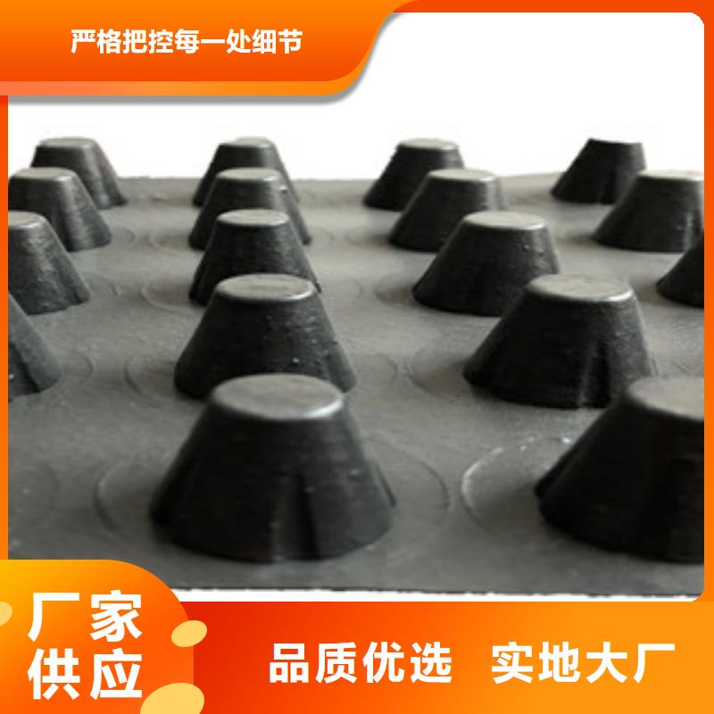 塑料排水板钢塑土工格栅出货及时