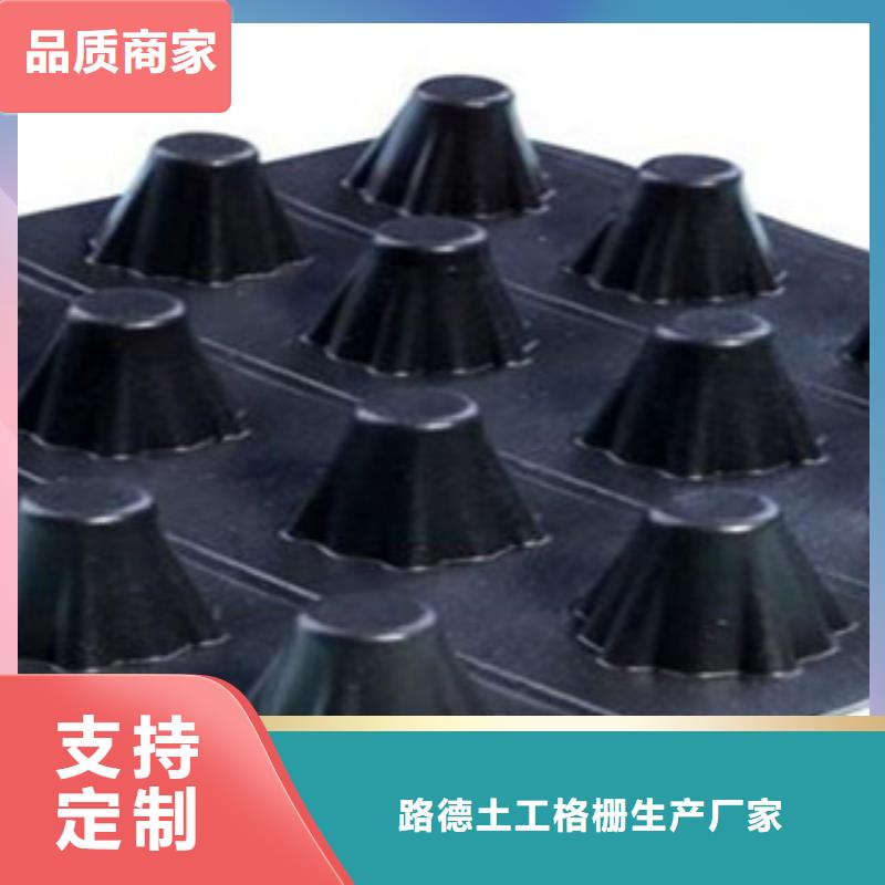 塑料排水板钢塑土工格栅出货及时