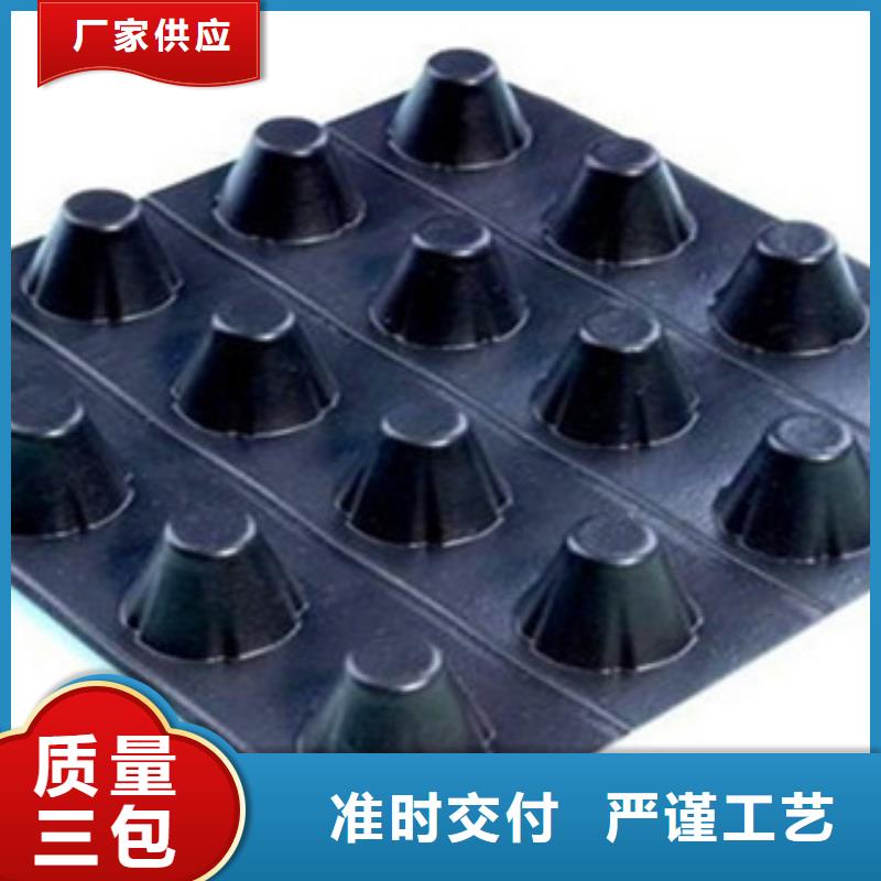 塑料排水板【玻纤土工格栅】有实力有经验