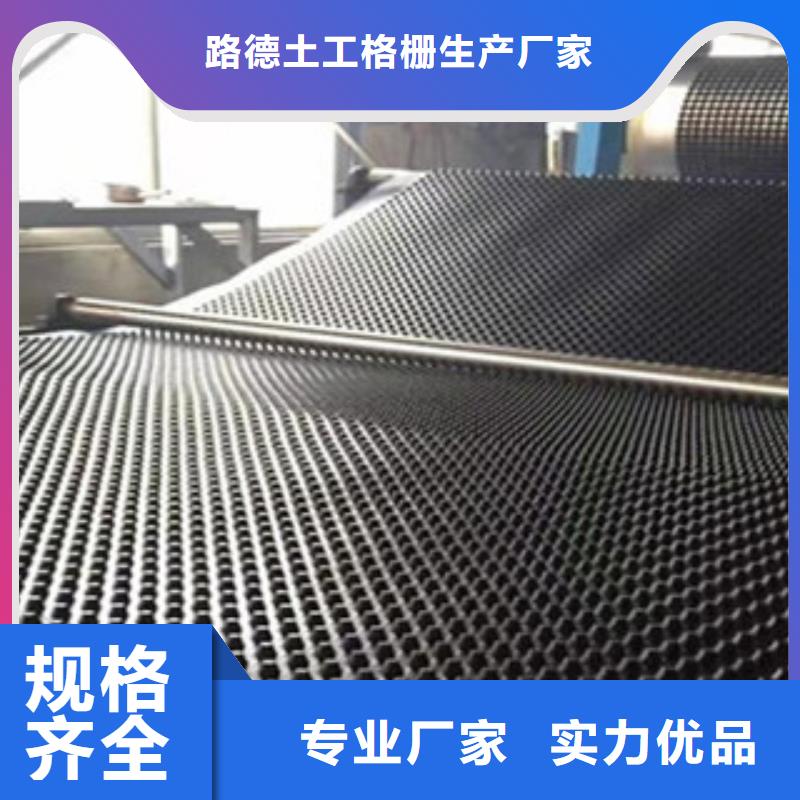 塑料排水板塑料土工格栅工厂现货供应