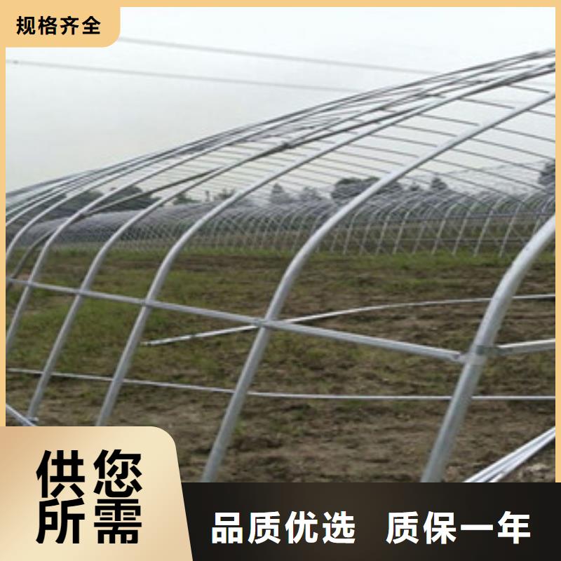 大棚管镀锌方管放心购