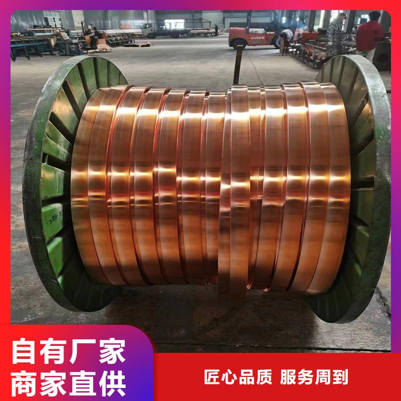 黄铜带辰昌盛通【紫铜排】-铜绞线实力厂家直销