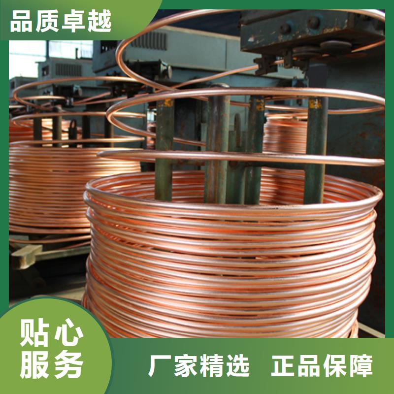 辰昌盛通黄铜带【紫铜排】- 紫铜排产地批发阿奇乐乐
