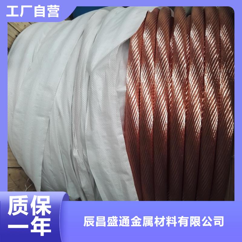 镀锡铜绞线图片近期行情一米多少钱