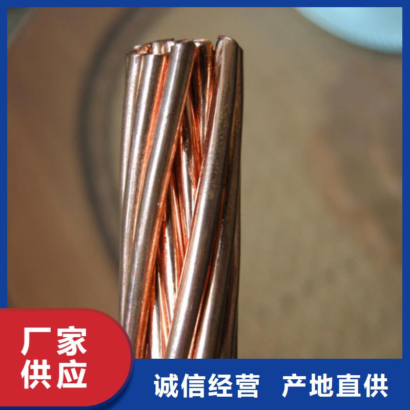铜绞线-【镀锡铜绞线】快捷的物流配送