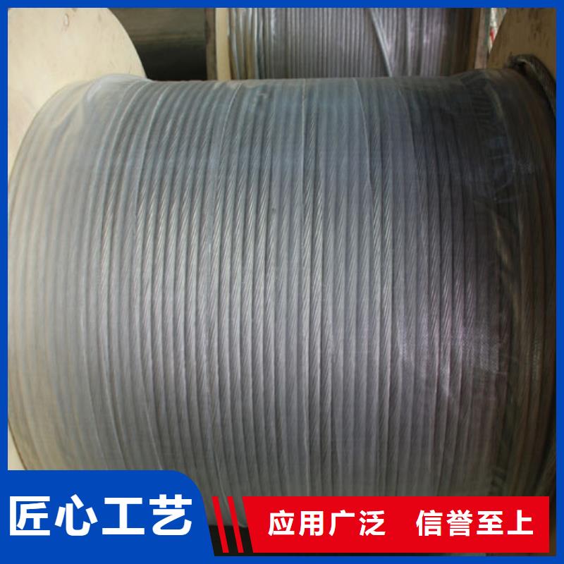 镀锡铜绞线图片正规厂家含税含运费