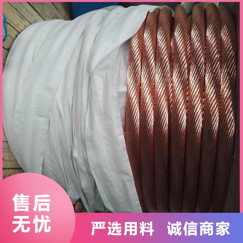 镀锡铜绞线标准靠谱厂家一米多少钱