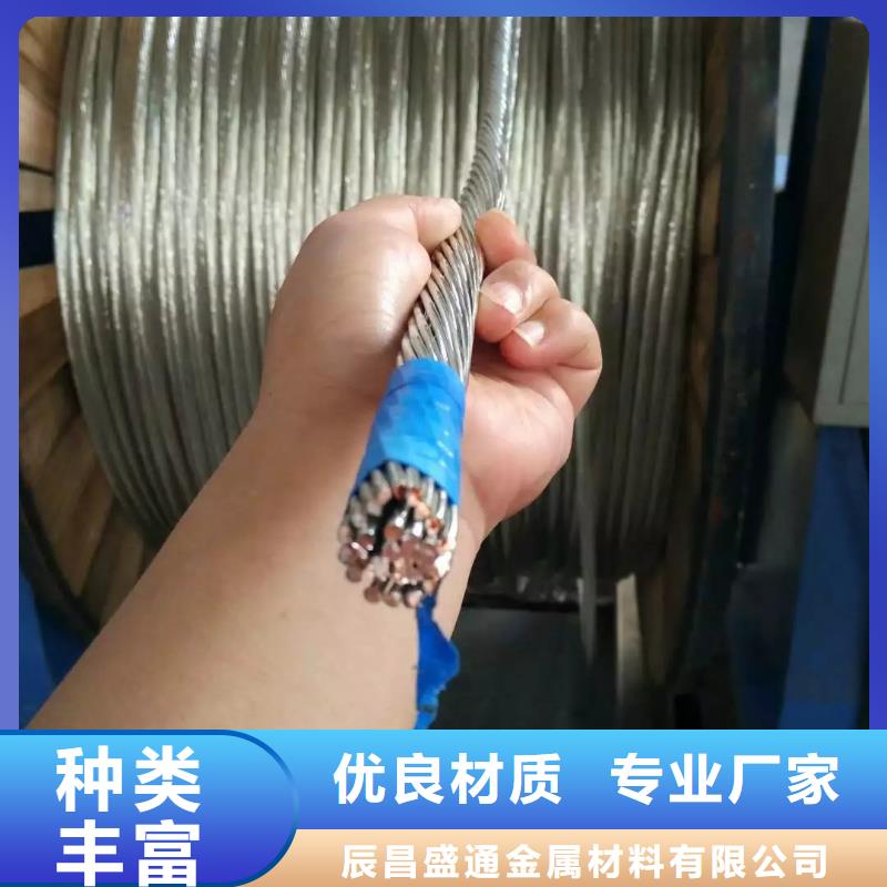 镀锡铜绞线标准在线咨询一米多少钱