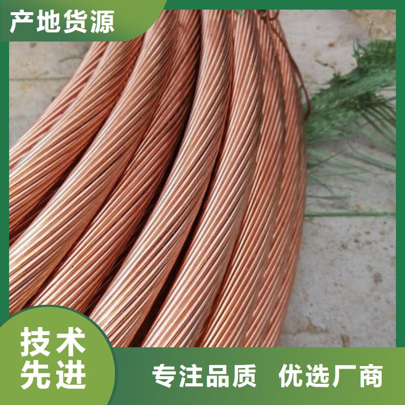 快速生产的敢与同行比服务铜绞线 紫铜排厂家直销_