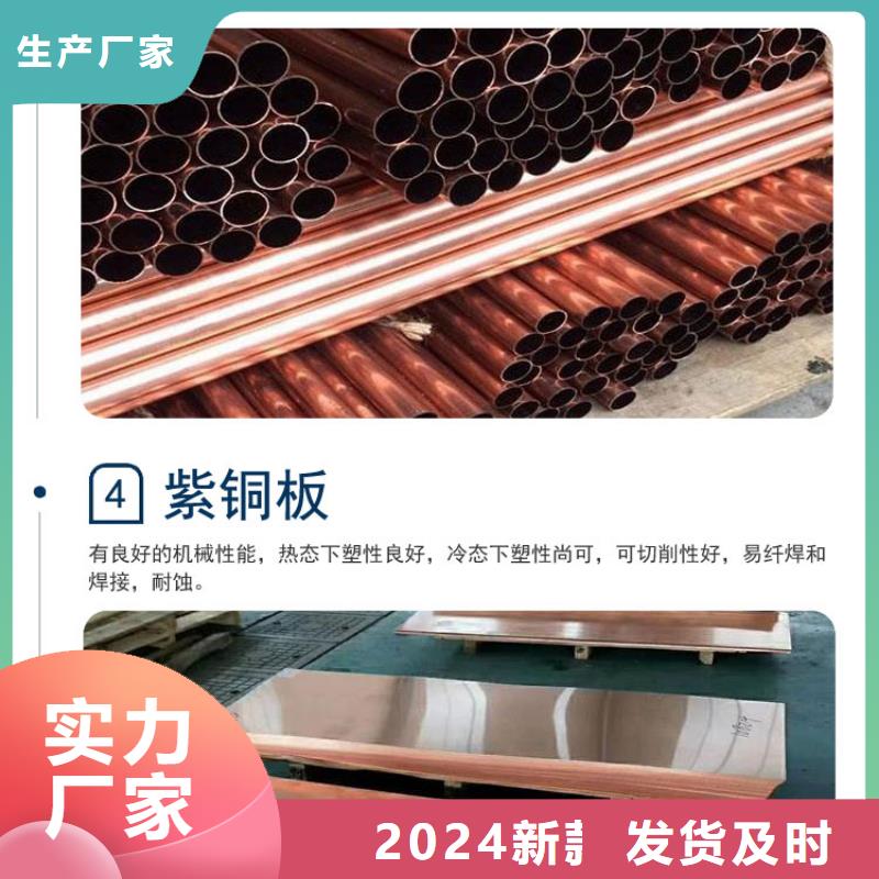 品牌:辰昌盛通-设计合理紫铜板镀锡铜绞线长期供应_
