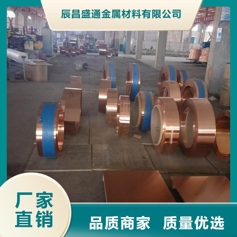 品牌:辰昌盛通-设计合理紫铜板镀锡铜绞线长期供应_