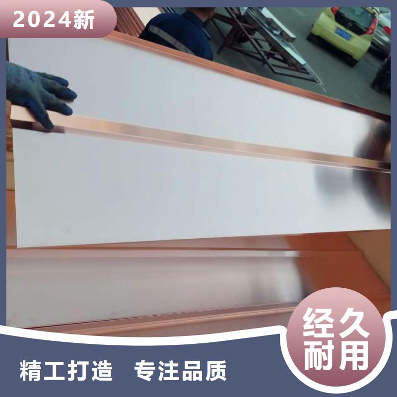 品牌:辰昌盛通-设计合理紫铜板镀锡铜绞线长期供应_