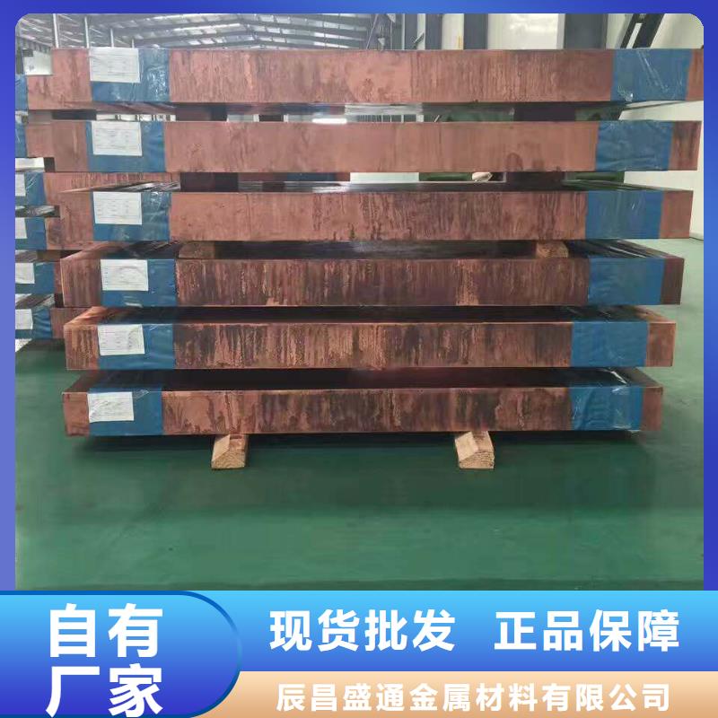 品牌:辰昌盛通-设计合理紫铜板镀锡铜绞线长期供应_