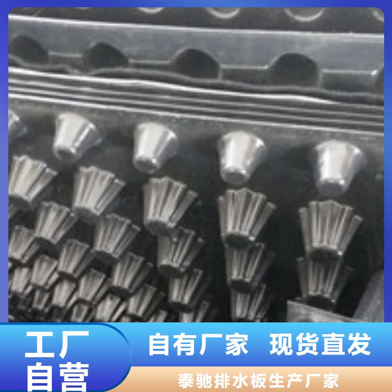 【 聚丙烯纤维货源稳定】 泰驰排水板生产厂家(银川分公司)