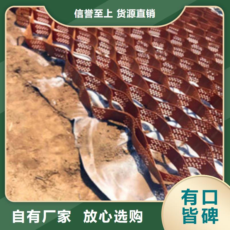 蜂巢格室,塑料土工格室发货及时