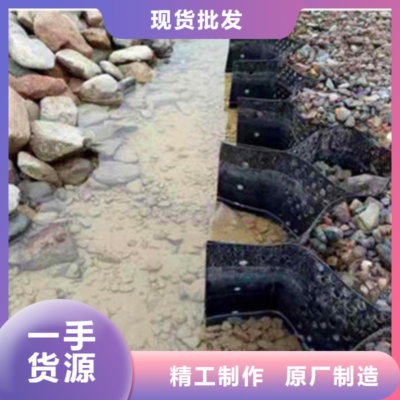 蜂巢格室土工格室厂家案例
