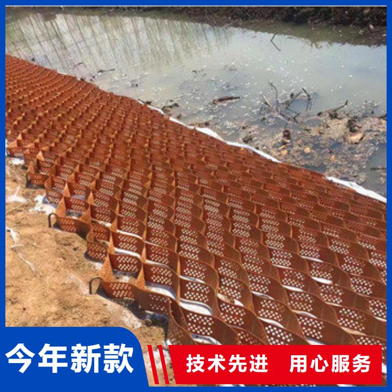 蜂巢格室 HDPE复合排水板实地大厂
