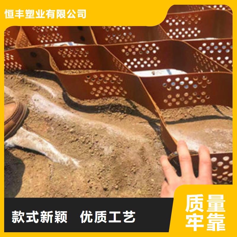【蜂巢格室】-土工格室商家直供
