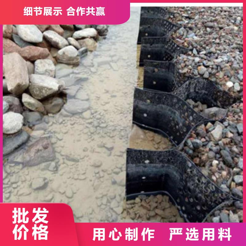 蜂巢格室土工布厂家直营