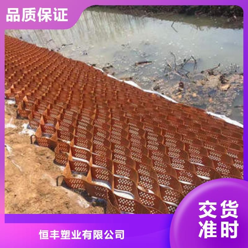 蜂巢格室-土工网自有生产工厂