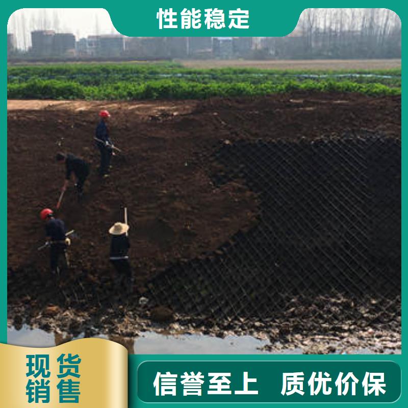 蜂巢格室_玻纤土工格栅品质可靠