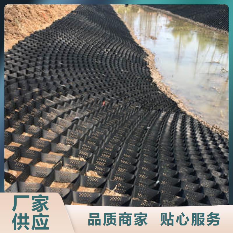 蜂巢格室 涤纶格栅现货满足大量采购