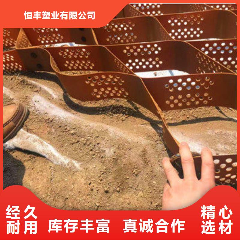 蜂巢格室玻璃纤维土工格栅产品细节