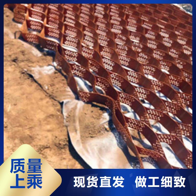 【 蜂巢格室_塑料土工格室快速物流发货】