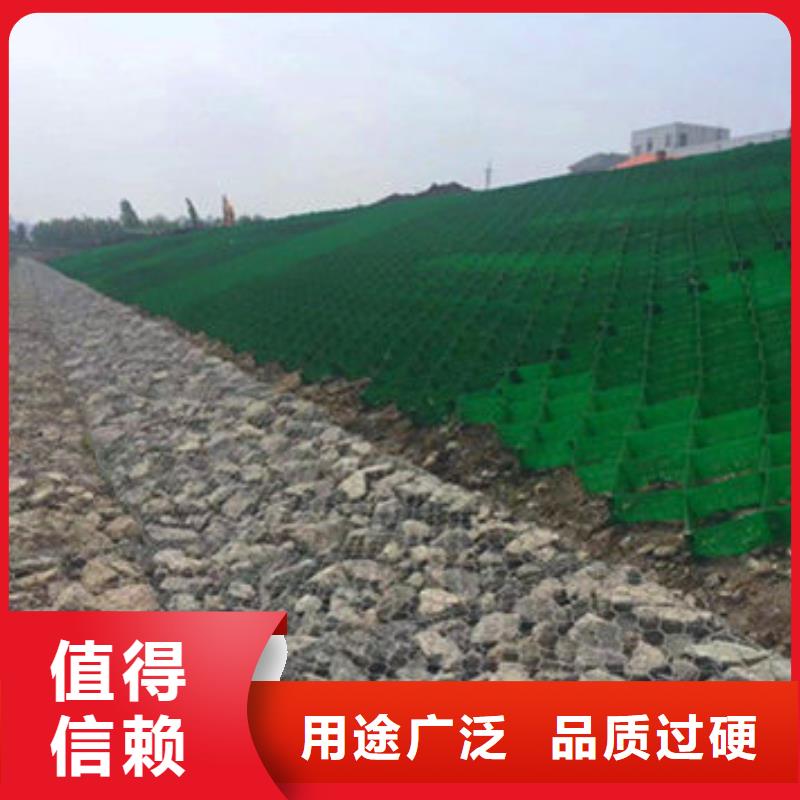 蜂巢格室土工网实力厂家直销