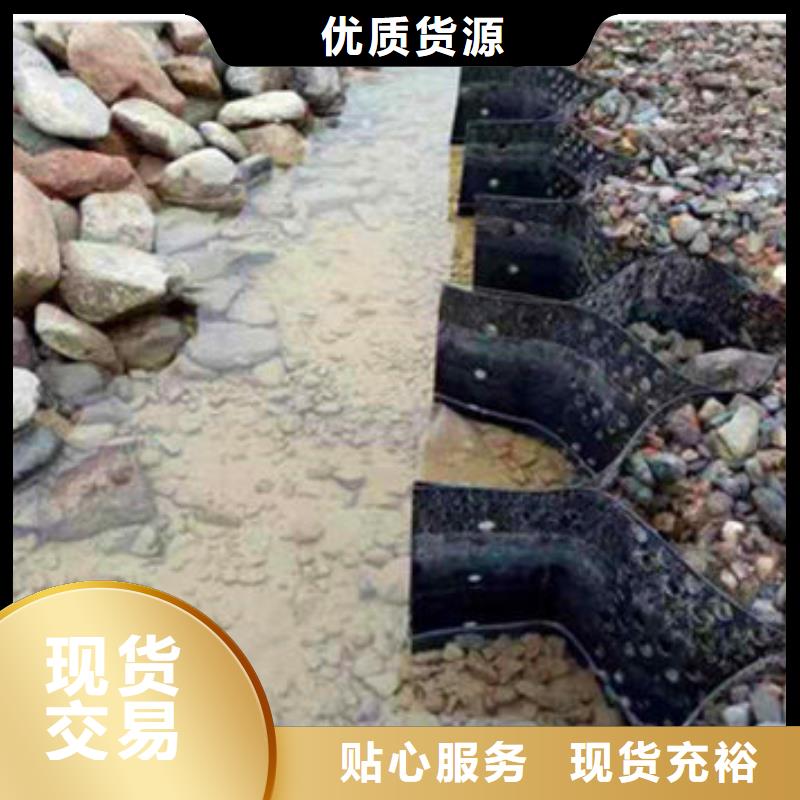 蜂巢格室钢塑格栅免费寄样