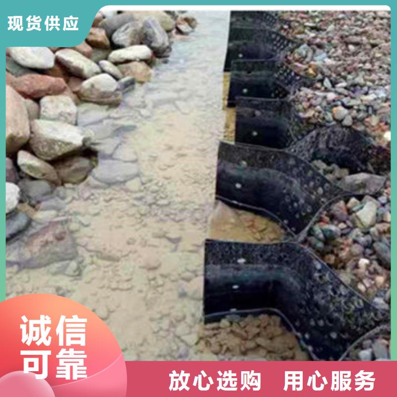 蜂巢格室,钢塑格栅当地厂家值得信赖