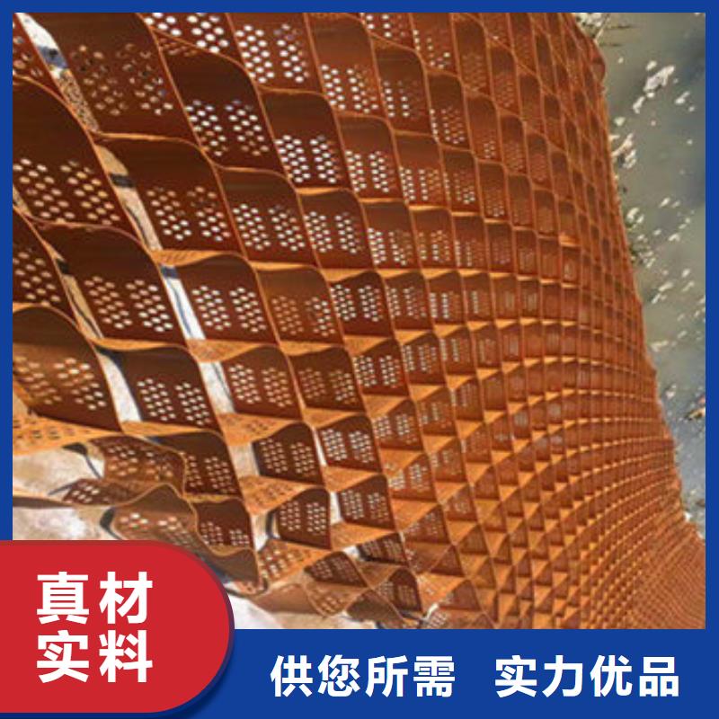 蜂巢格室 塑料土工格室产地厂家直销