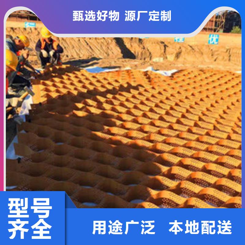 蜂巢格室钢塑格栅免费寄样